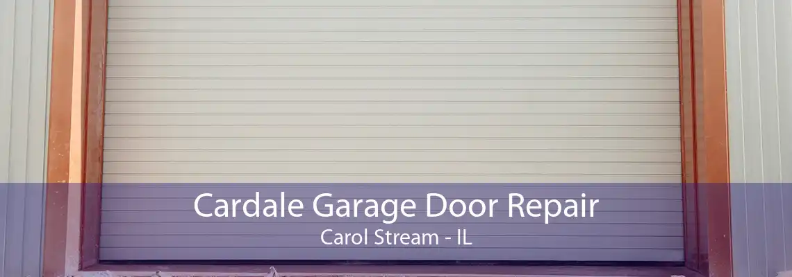 Cardale Garage Door Repair Carol Stream - IL