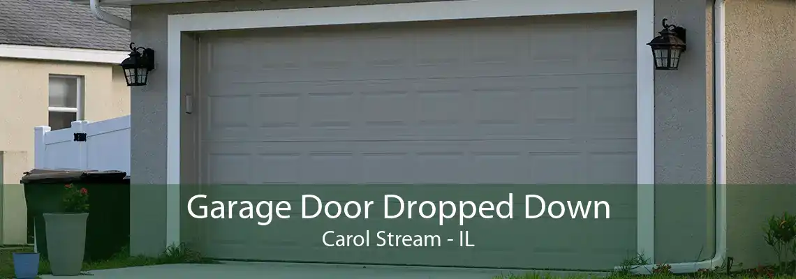 Garage Door Dropped Down Carol Stream - IL