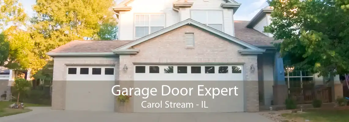 Garage Door Expert Carol Stream - IL