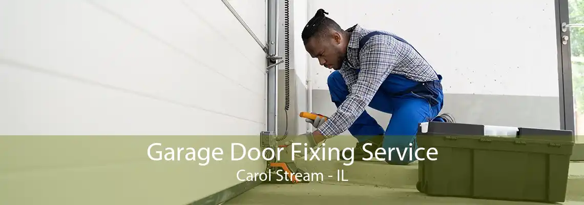 Garage Door Fixing Service Carol Stream - IL