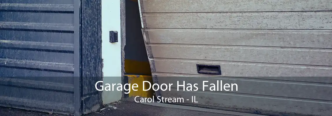 Garage Door Has Fallen Carol Stream - IL