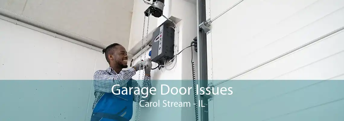 Garage Door Issues Carol Stream - IL