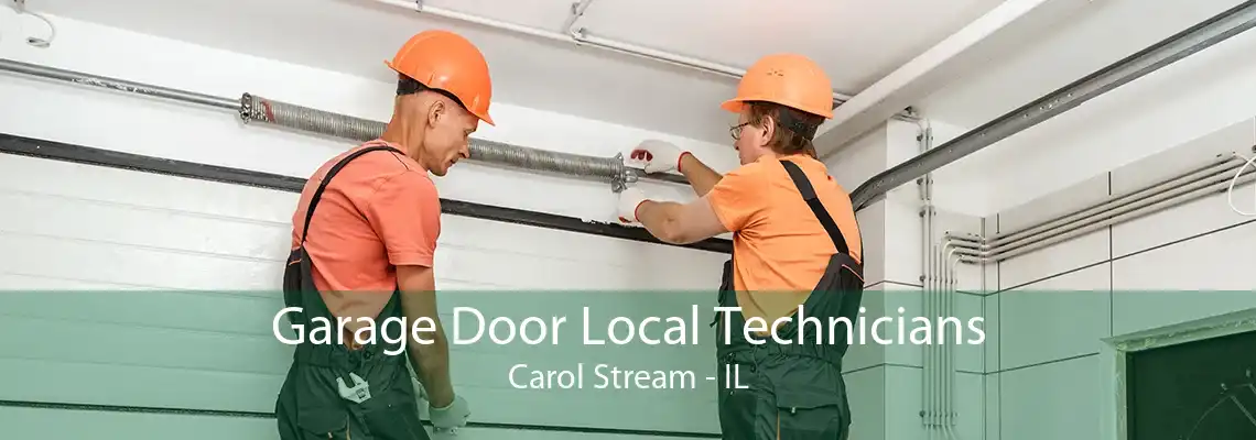 Garage Door Local Technicians Carol Stream - IL