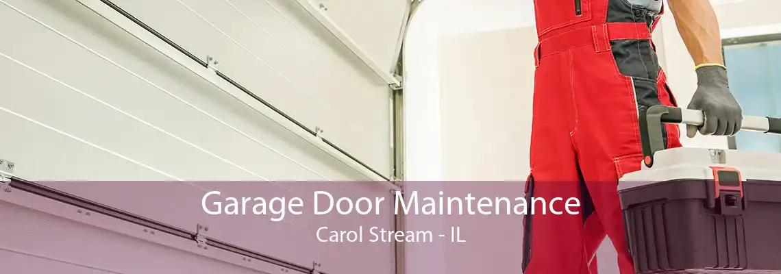 Garage Door Maintenance Carol Stream - IL