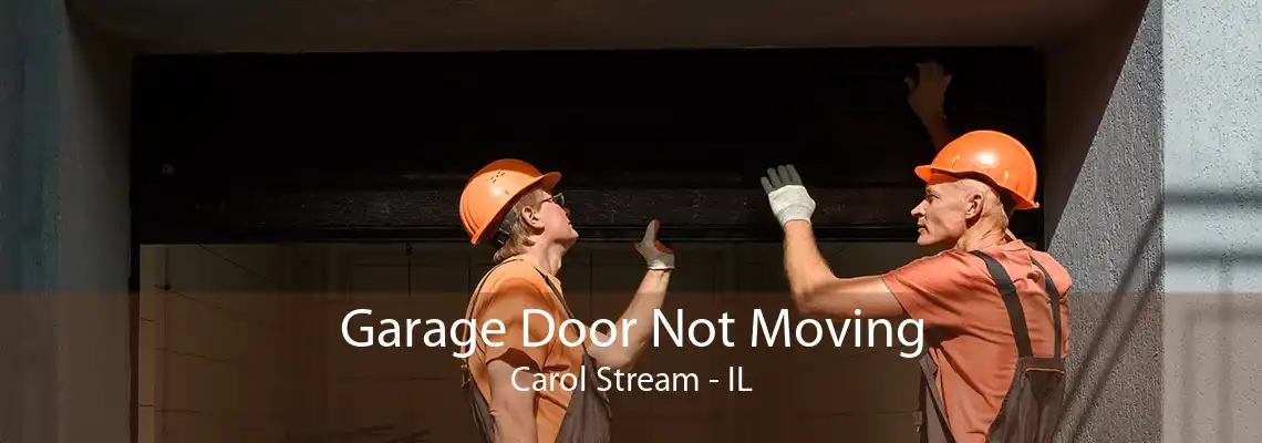 Garage Door Not Moving Carol Stream - IL