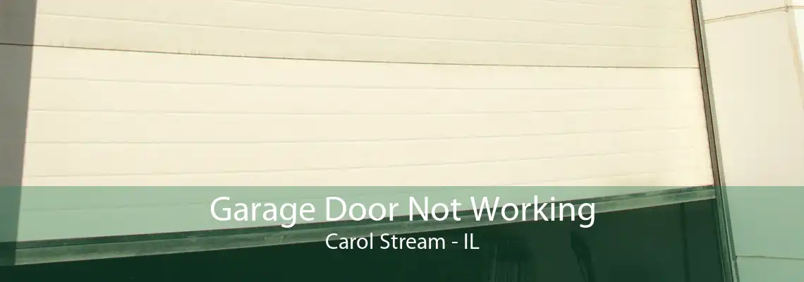 Garage Door Not Working Carol Stream - IL