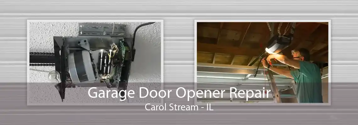 Garage Door Opener Repair Carol Stream - IL