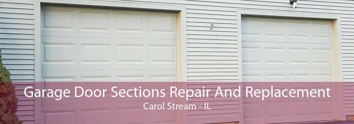 Garage Door Sections Repair And Replacement Carol Stream - IL