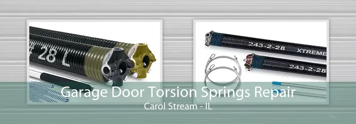 Garage Door Torsion Springs Repair Carol Stream - IL