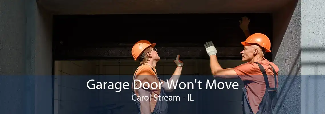 Garage Door Won't Move Carol Stream - IL