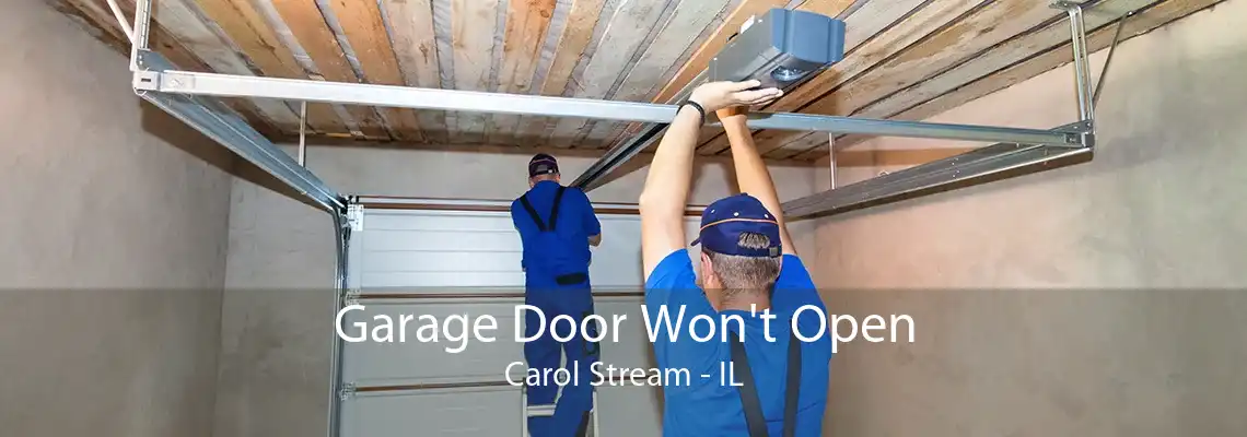 Garage Door Won't Open Carol Stream - IL