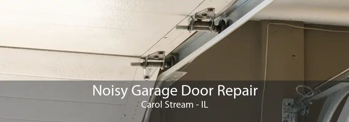 Noisy Garage Door Repair Carol Stream - IL