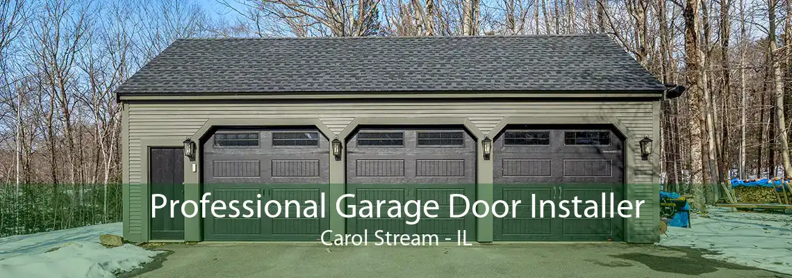 Professional Garage Door Installer Carol Stream - IL