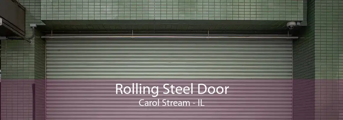 Rolling Steel Door Carol Stream - IL