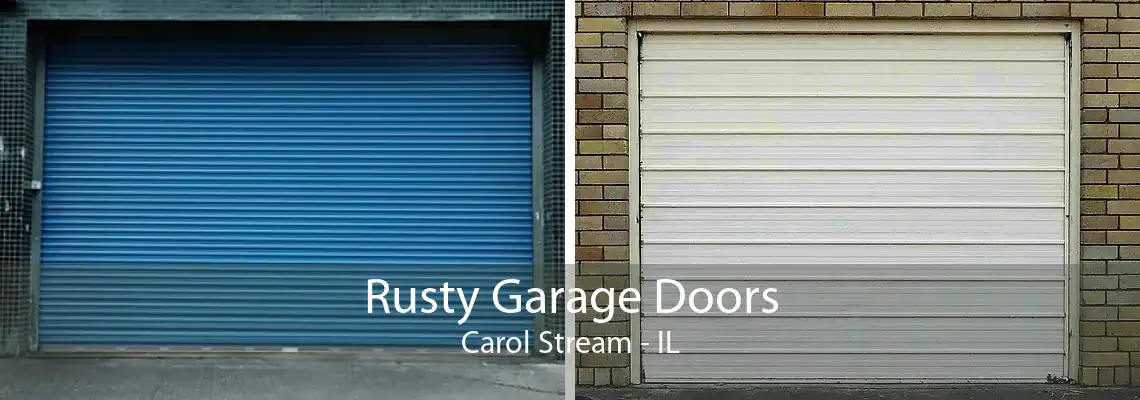 Rusty Garage Doors Carol Stream - IL