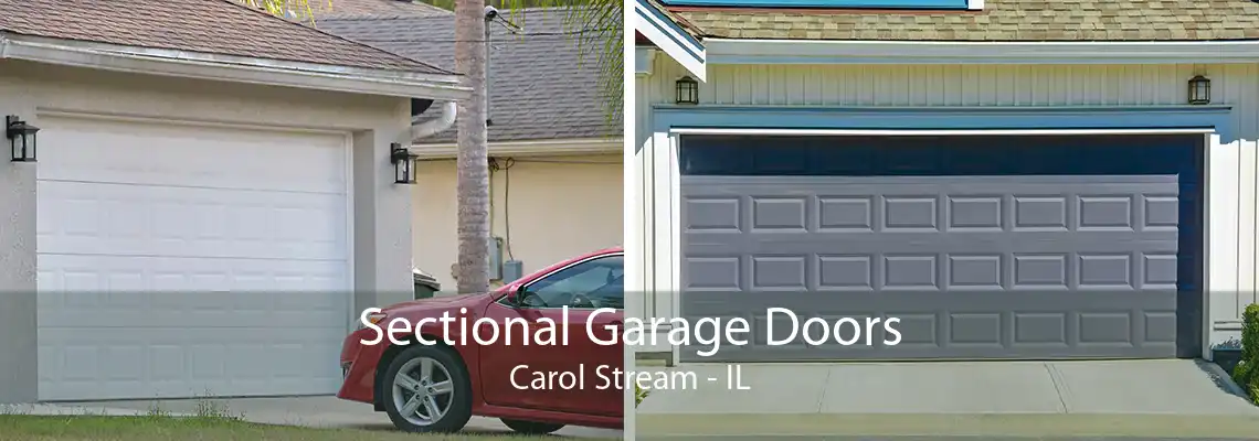 Sectional Garage Doors Carol Stream - IL